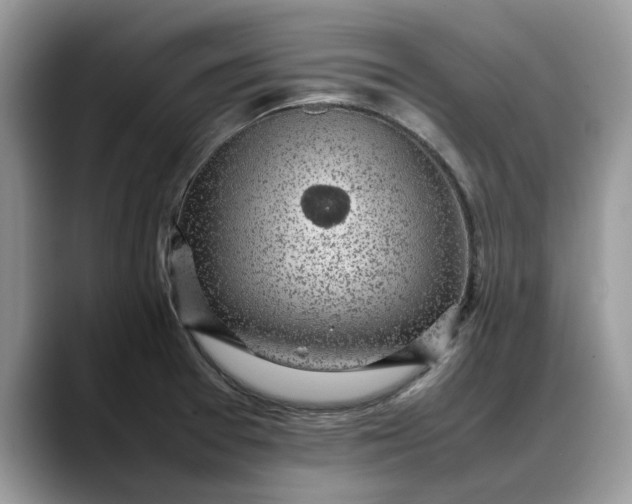 X0000088231377200705292125