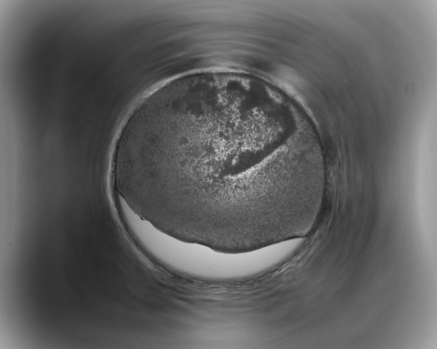 X0000088231379200705292125