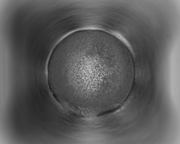 X0000088231380200705292125