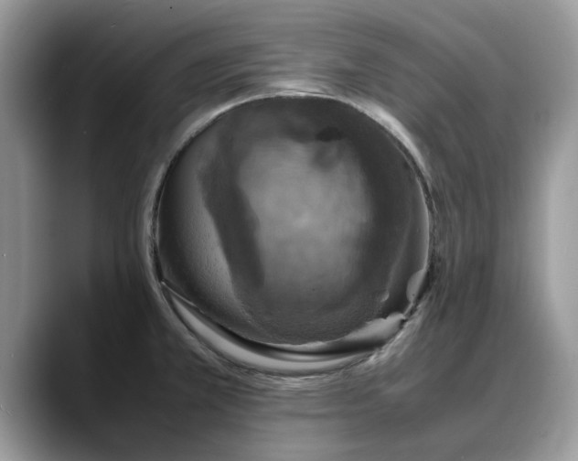 X0000088231381200705292125