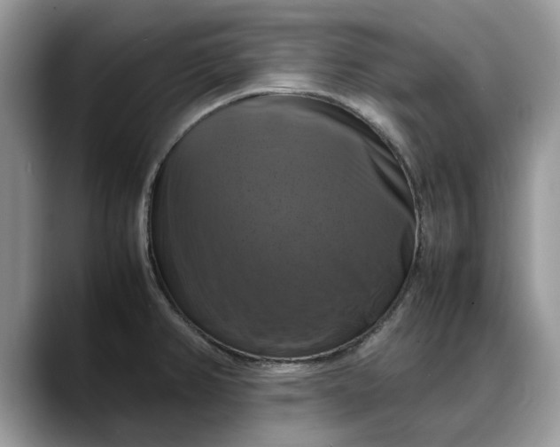 X0000088231382200705292125