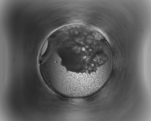 X0000088231383200705292125