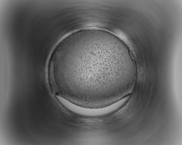 X0000088231384200705292125