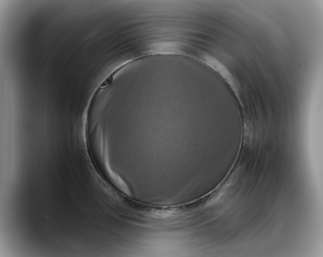 X0000088231386200705292125