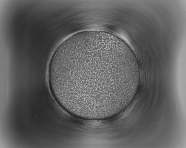 X0000088231387200705292125