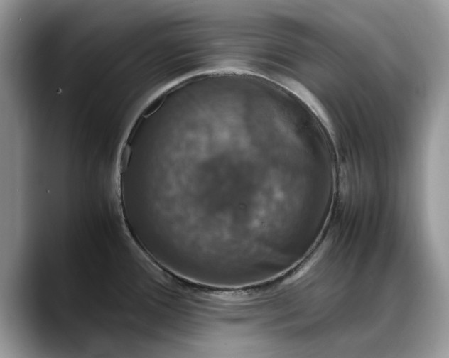 X0000088231388200705292125