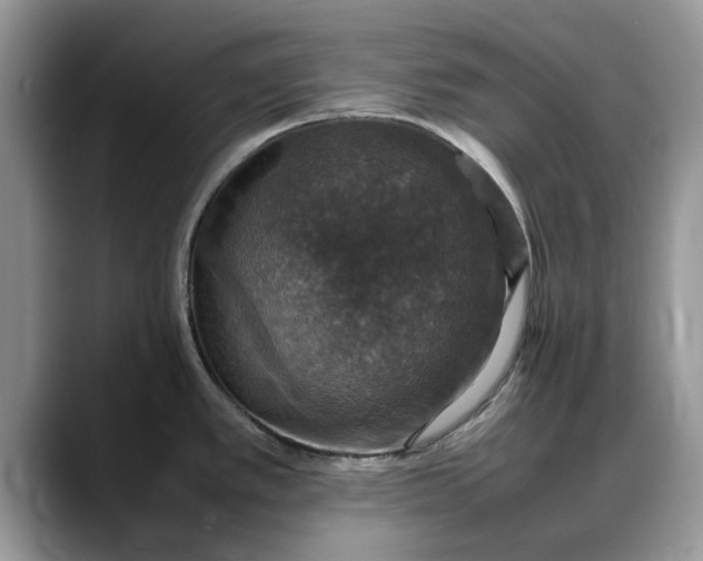 X0000088231389200705292125