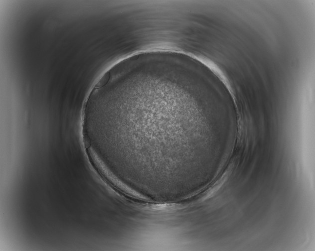 X0000088231390200705292125