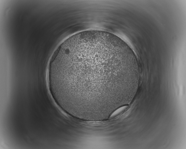 X0000088231391200705292125