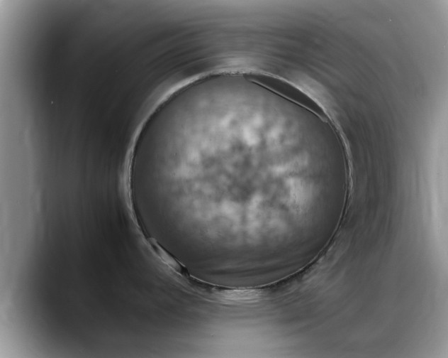 X0000088231392200705292125