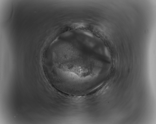 X0000088231393200705292124