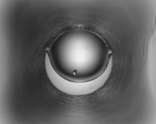 X0000088231394200705292124