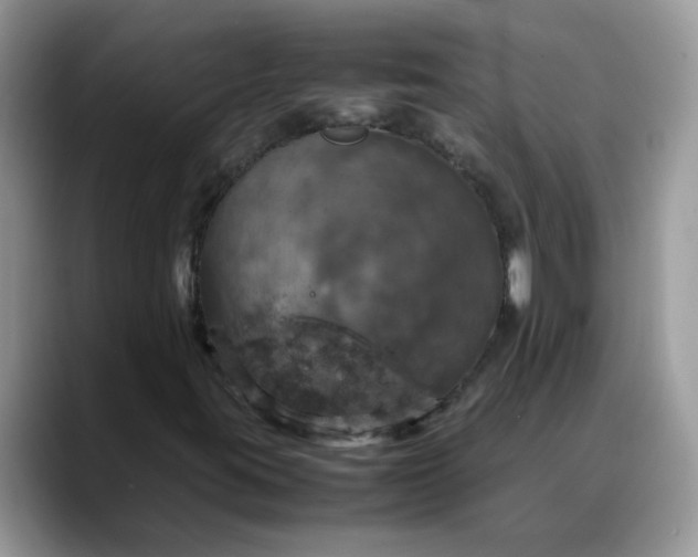 X0000088231395200705292124
