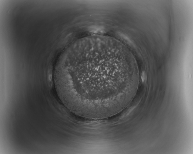 X0000088231396200705292124