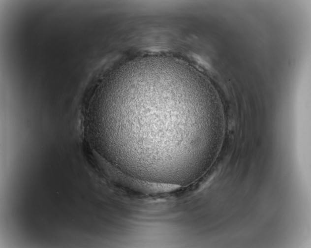 X0000088231398200705292124