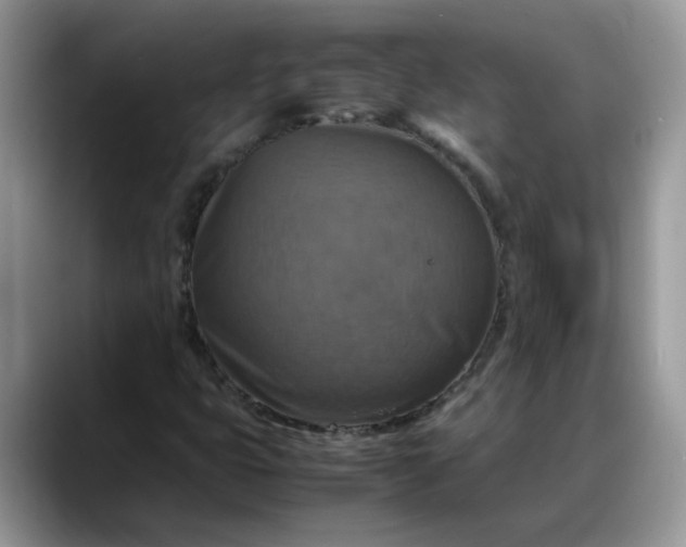 X0000088231399200705292124