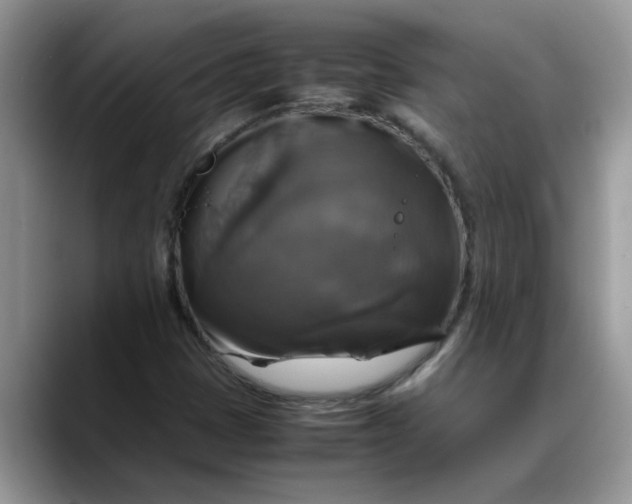 X0000088231401200705292124