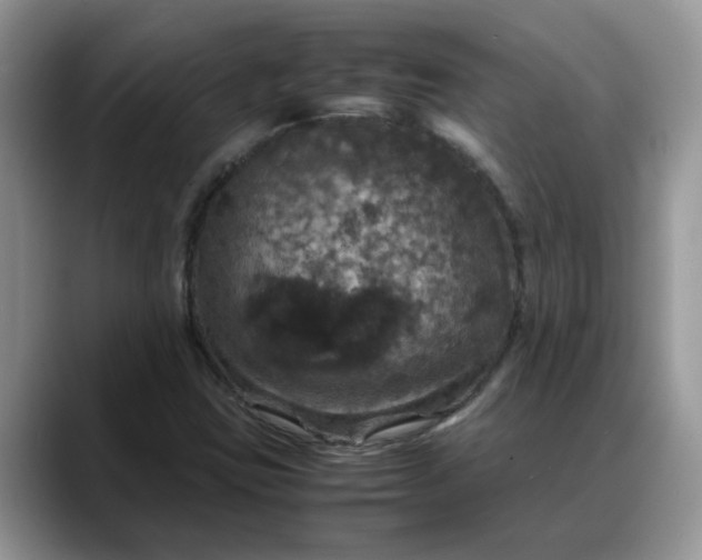 X0000088231403200705292124