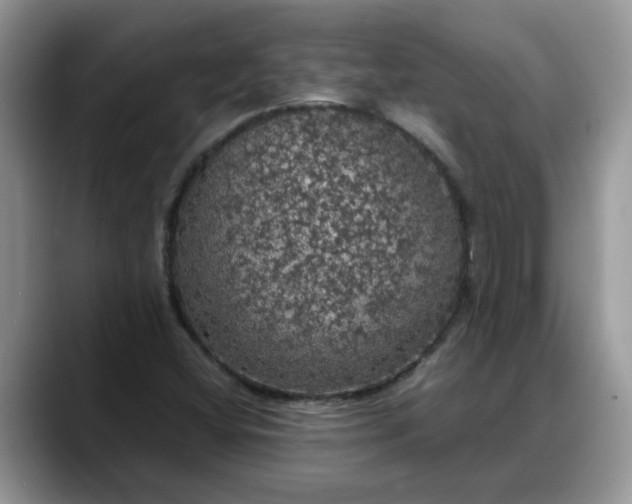 X0000088231404200705292124
