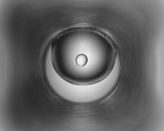 X0000088231406200705292124