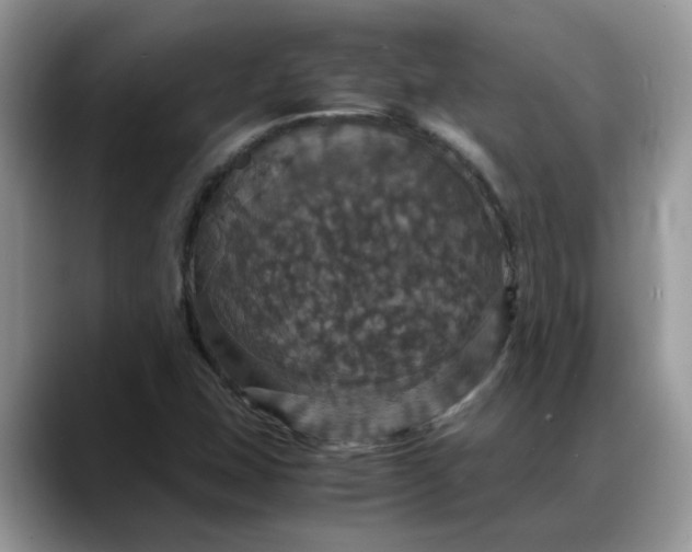 X0000088231407200705292125