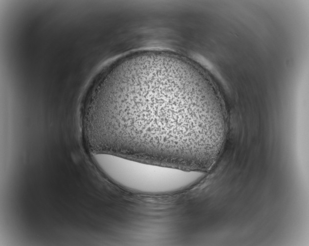 X0000088231408200705292125