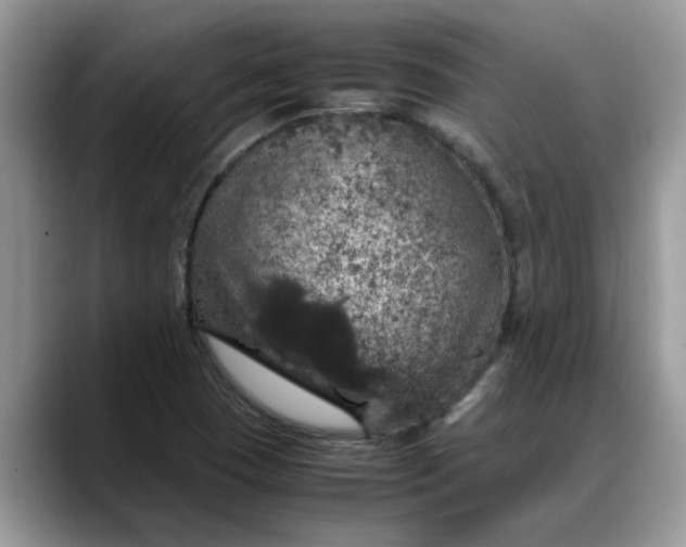 X0000088231409200705292125