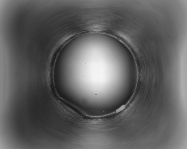 X0000088231410200705292125