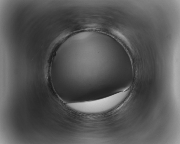 X0000088231411200705292125