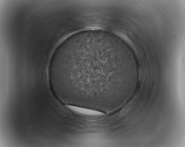 X0000088231412200705292125