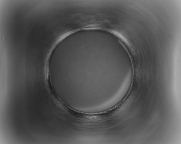 X0000088231413200705292125