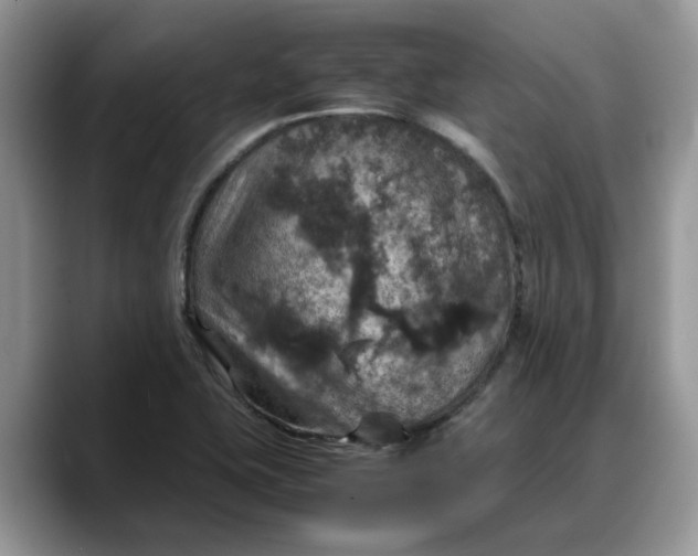 X0000088231415200705292125
