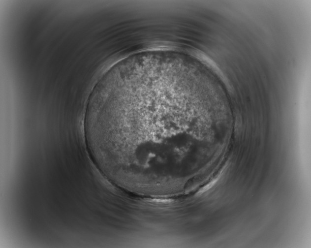 X0000088231417200705292125