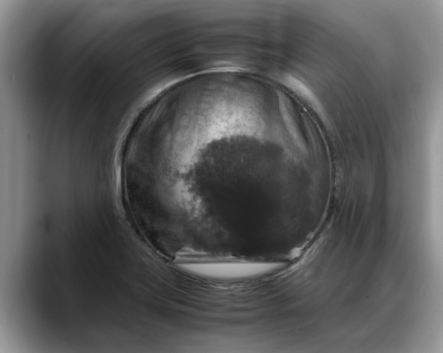 X0000088231419200705292125