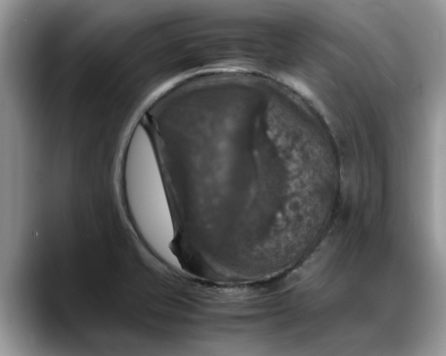 X0000088231421200705292125
