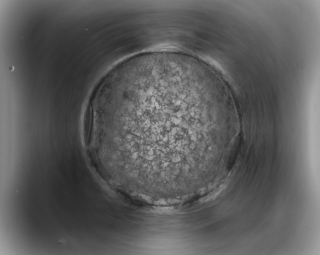 X0000088231422200705292125