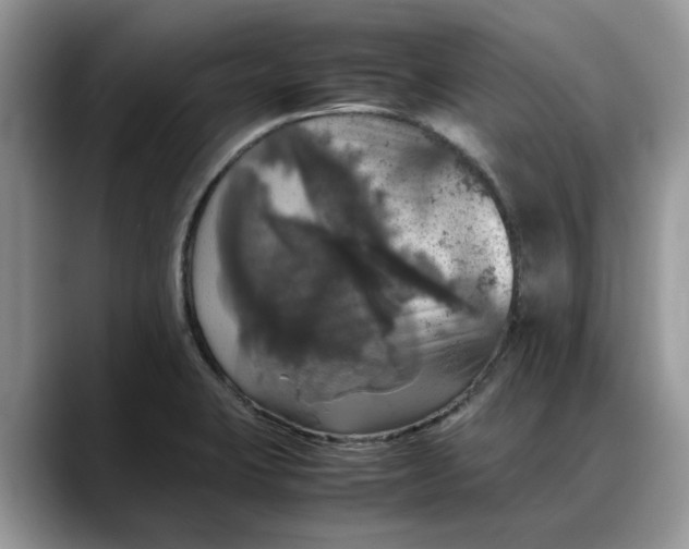 X0000088231423200705292125