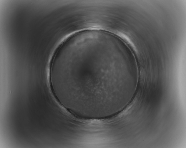X0000088231424200705292125