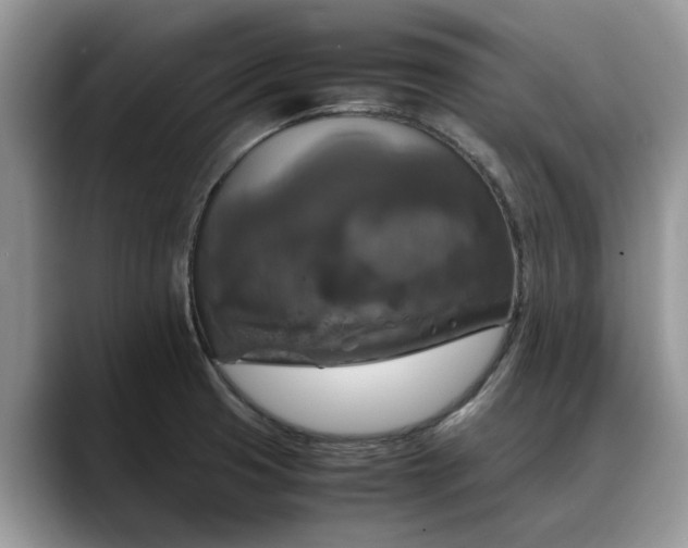 X0000088231425200705292125