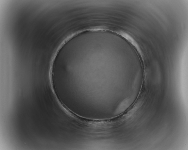 X0000088231429200705292125
