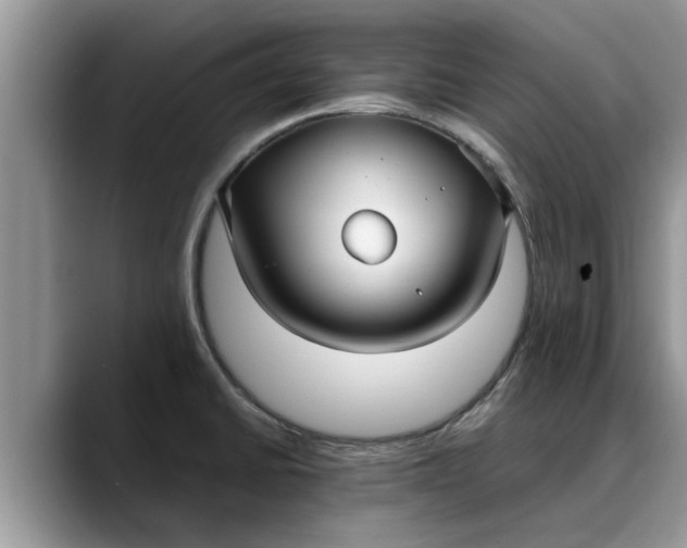 X0000088231430200705292125