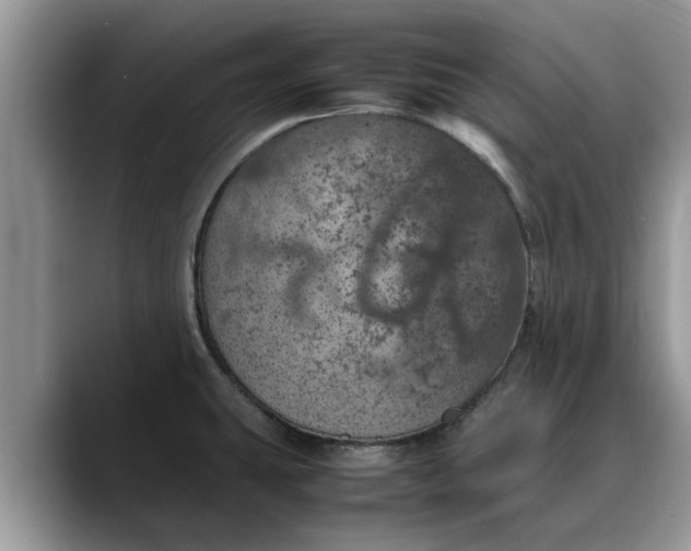 X0000088231431200705292125