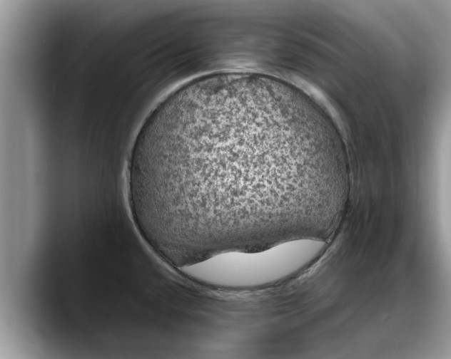 X0000088231432200705292125