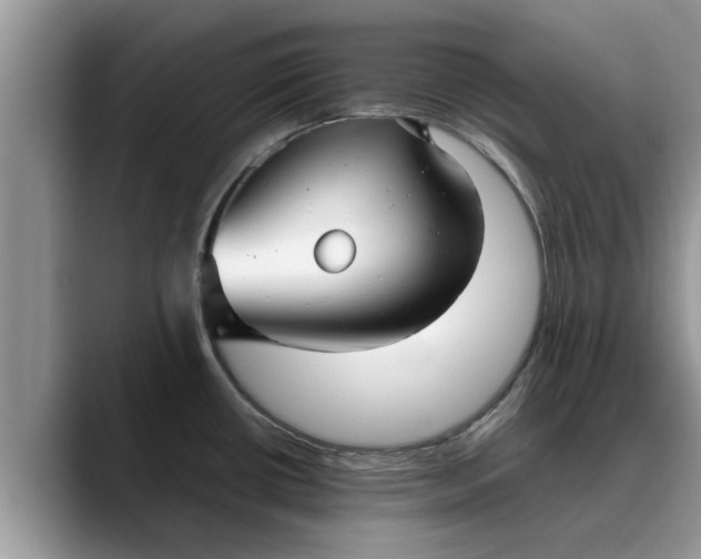 X0000088231434200705292125