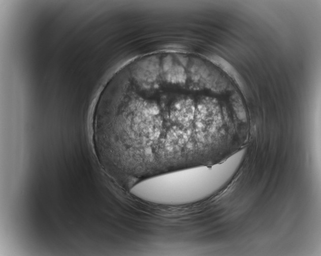 X0000088231435200705292125