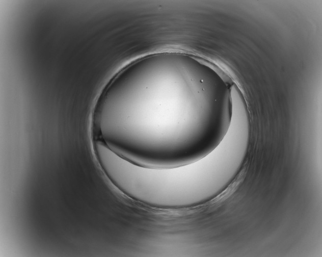 X0000088231438200705292125