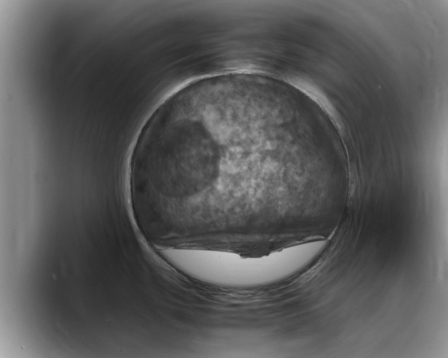 X0000088231439200705292125