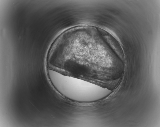 X0000088231440200705292125