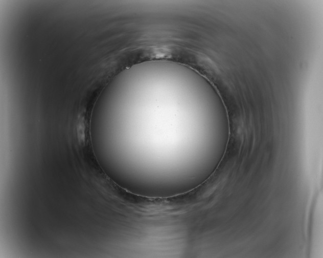 X0000088231442200705292124