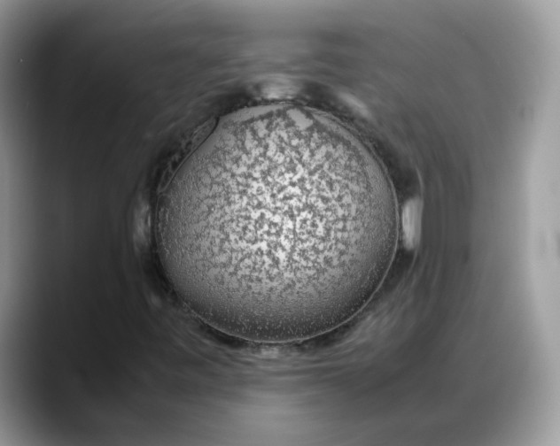 X0000088231443200705292124